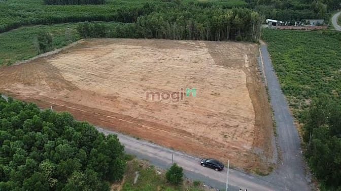 Hình ảnh đất sào phước bình long thành dt : 1142m2