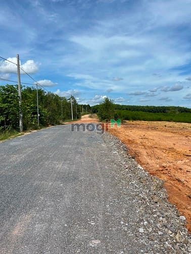 Hình ảnh đất sào phước bình long thành dt : 1142m2