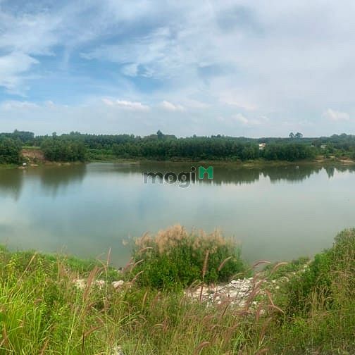Hình ảnh đất sào phước bình long thành dt : 1142m2