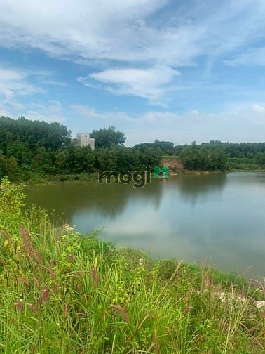 Hình ảnh đất sào phước bình long thành dt : 1142m2