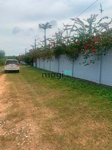 Hình ảnh đất sào phước bình long thành dt : 1142m2