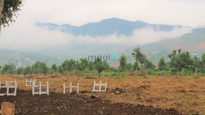 Hình ảnh Bán Đất Nền Nhà Phố Vườn Biệt Thự Vườn Ngoại Thành Đà Lạt
