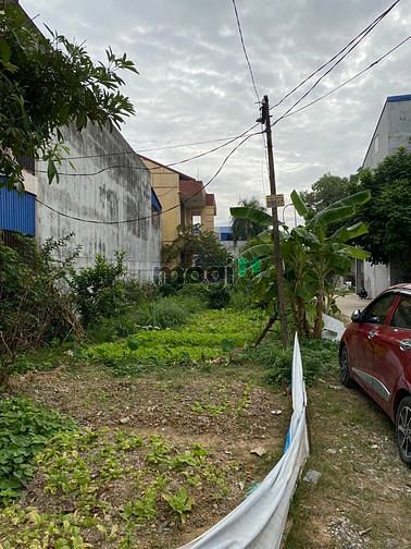 Hình ảnh Bán lô đất 2 mặt tiền đối diện trường cao đẳng kinh tế, p tân lập, tp