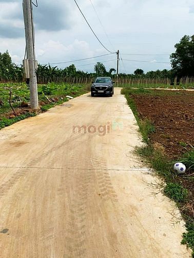 Hình ảnh Đất Sào Phước Bình-Long Thành Giá Rẻ Đẹp 1.5TR/M2 , Vị Trí Đẹp