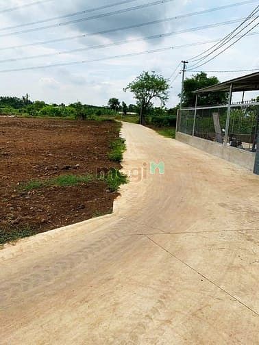 Hình ảnh Đất Sào Phước Bình-Long Thành Giá Rẻ Đẹp 1.5TR/M2 , Vị Trí Đẹp