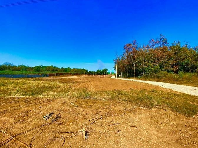 Hình ảnh Đất Sào Phước Bình-Long Thành Giá Rẻ Đẹp 1.5TR/M2 , Vị Trí Đẹp