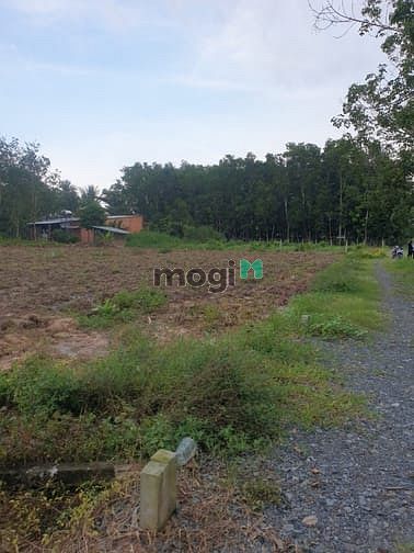 Hình ảnh cần bán lô đất tại ấp cây da, xã hiệp giá 260 tr