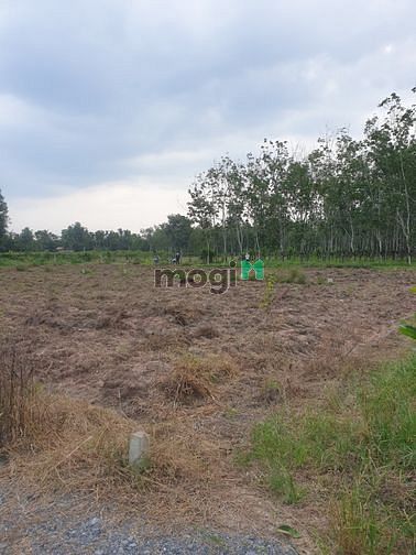 Hình ảnh cần bán lô đất tại ấp cây da, xã hiệp giá 260 tr
