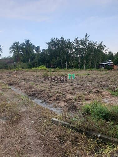 Hình ảnh cần bán lô đất tại ấp cây da, xã hiệp giá 260 tr
