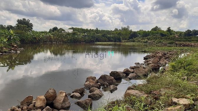 Hình ảnh VIEW hồ xã vĩnh tân cách biên hòa chùng 12km