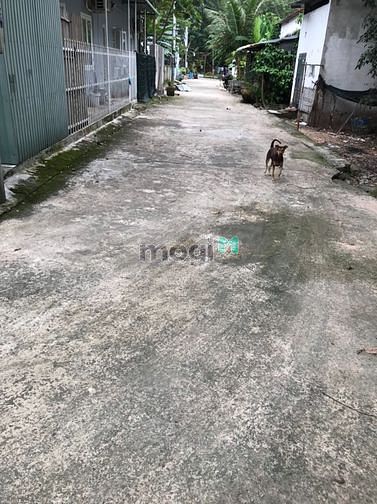 Hình ảnh CẦN TIỀN BÁN GẤP 200M2 ĐẤT 10 X 20M liền kề QL13 dân đông