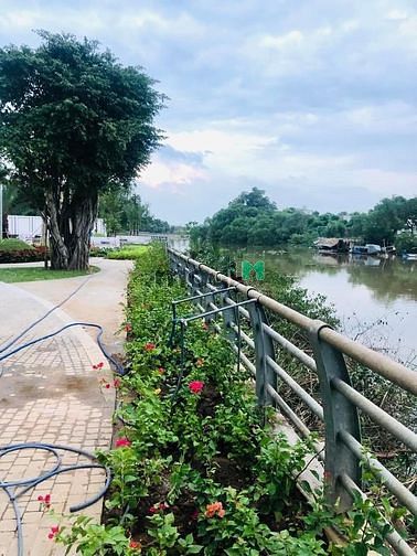 Hình ảnh Cho thuê D'lusso 2PN vừa nhận bàn giao nhà
