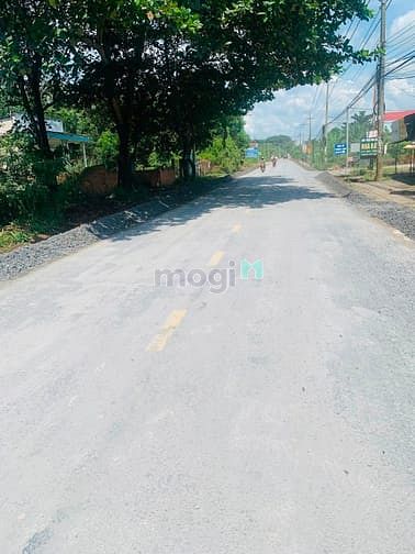Hình ảnh đất mặt tiền bàu cạn – long thành - dt : 590m2 .