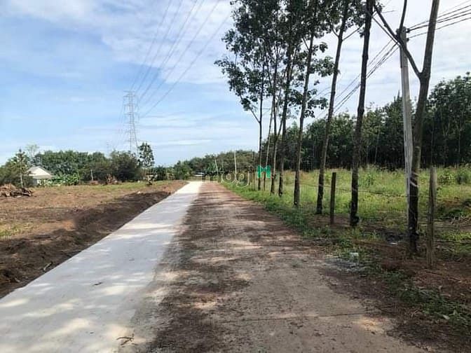 Hình ảnh Đất Bình Phước sổ riêng giá Trang MB66.COM Chính Thức - MB 66 Uy Tín đón sóng kcn