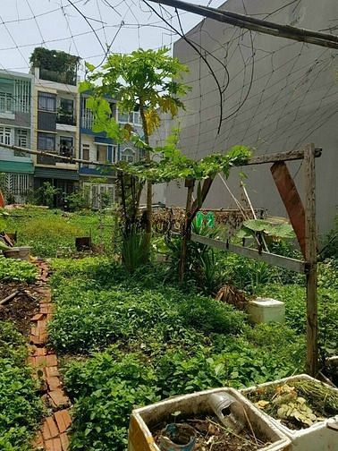Hình ảnh Cần bán gấp lô đất 54m2 ,đường cầu xây ,P tân phú ,TP thủ đức
