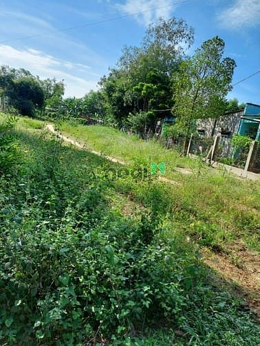 Hình ảnh Đất 2 MT . Đường đất đỏ sát Cô Kiều. Giá 3 tỷ 500 tr
