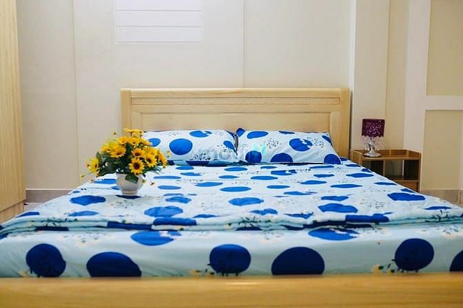 Hình ảnh Bán CHDV Huỳnh Tấn Phát 4 lầu thu nhập 35tr/1th chỉ 6.2 tỷ.