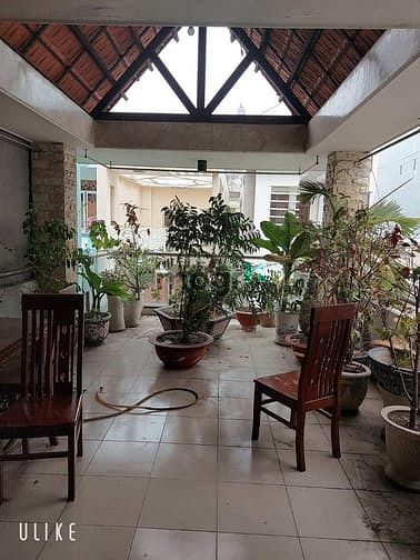 Hình ảnh Hxh, 100m2, ngang 5.3m, lạc long quân, phường 11, tân bình