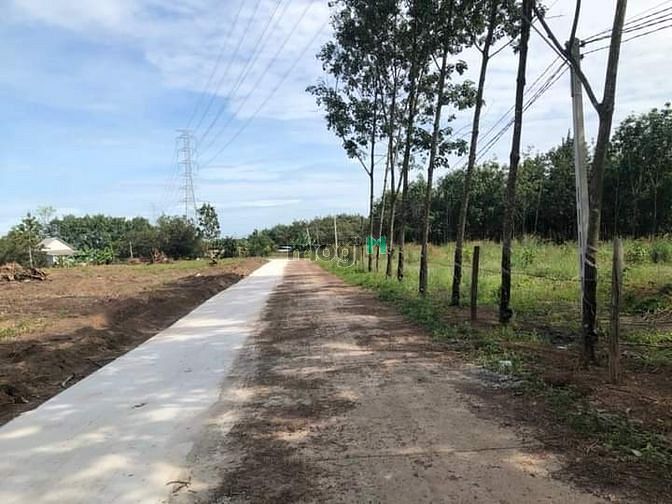 Hình ảnh Đất Bình Phước sổ riêng giá rẻ