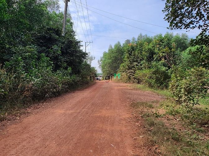 Hình ảnh Bán hơn 2 mẫu đất View Sông Buông, Phước Tân, Biên Hòa