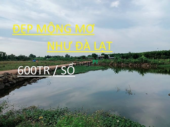 Hình ảnh SỔ riêng cách KCN Sông Mây 4km giá 380tr/406m luôn nè