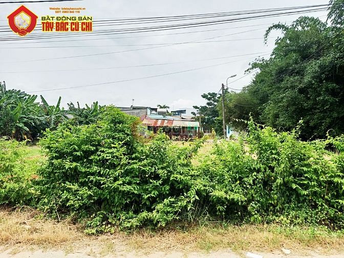 Hình ảnh Bán đất đường nguyễn thị gắt - 463m2 - 14x34 - 300m2 thổ cư - xã