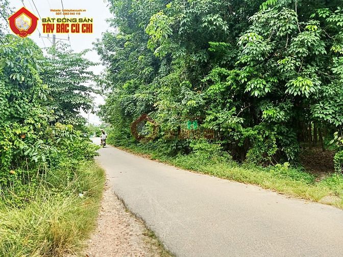 Hình ảnh Bán đất đường nguyễn thị gắt - 463m2 - 14x34 - 300m2 thổ cư - xã