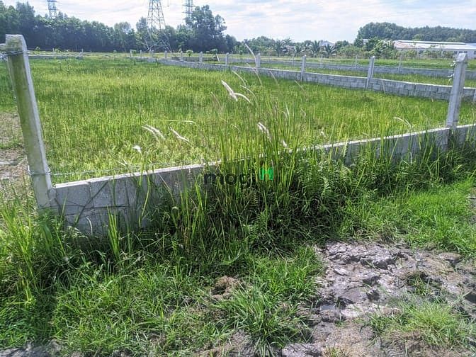 Hình ảnh cần bán gấp mảnh đất Củ Chi giá tốt