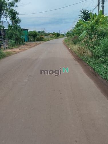 Hình ảnh Đất vườn suối nho, định quán, đồng nai