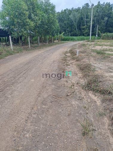 Hình ảnh Đất vườn suối nho, định quán, đồng nai