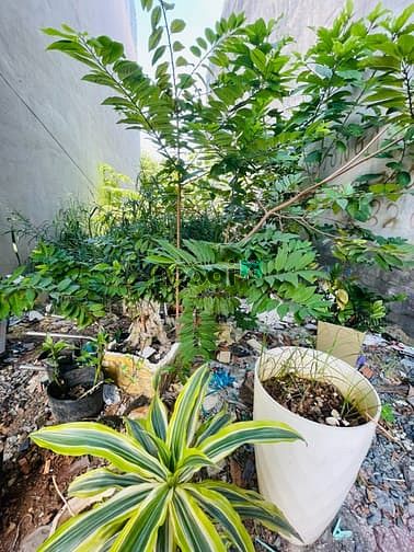 Hình ảnh Bán đất hẻm đường Lê Văn Chí, hẻm thông 8m-KD- Buôn bán tốt, DT87.6m2
