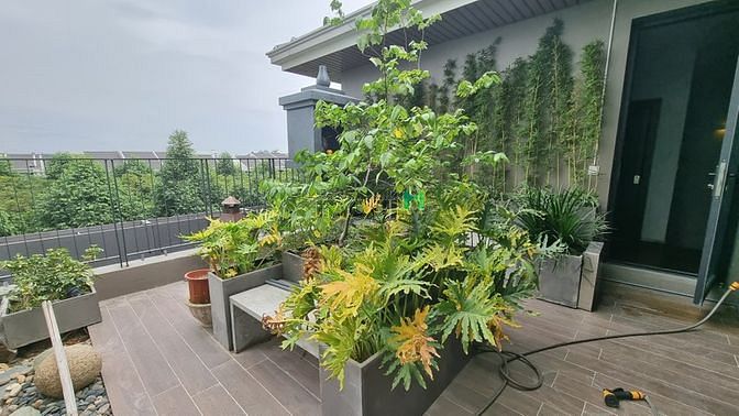 Hình ảnh Biệt Thự 5* - Sân Vườn - Hồ Cá Koi - 250/350m2 - Căn mẫu đẹp nhất khu.