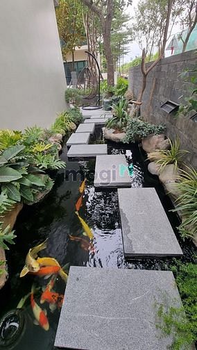 Hình ảnh Biệt Thự 5* - Sân Vườn - Hồ Cá Koi - 250/350m2 - Căn mẫu đẹp nhất khu.