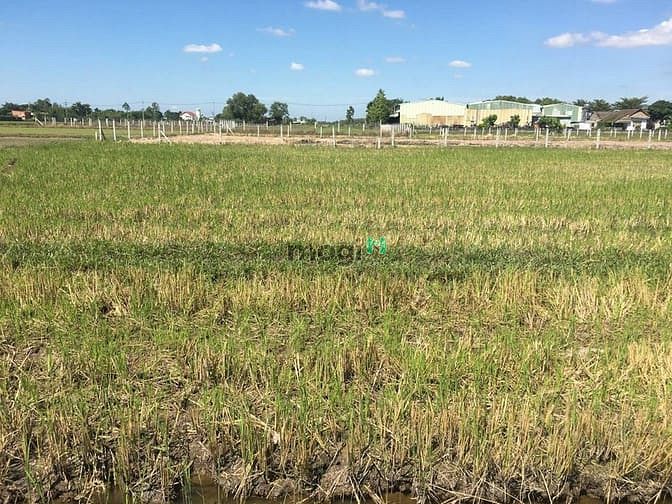 Hình ảnh Bán lô đất mặt tiền đường nhựa ở Củ Chi