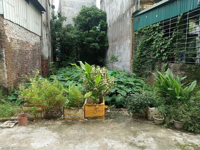 Hình ảnh Ngõ thông, DT 46m2, MT 4m. Giá: 1.38 tỷ.