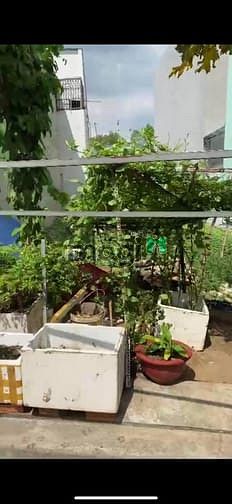 Hình ảnh Bán lô đất nền đuiờng tỉnh lộ 10 bình tân. 74m2
