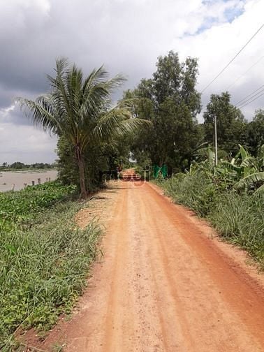 Hình ảnh Bán đất mặt tiền đê bao sông sài gòn bình dương