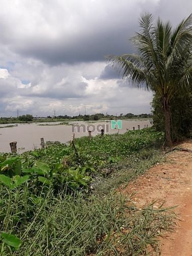 Hình ảnh Bán đất mặt tiền đê bao sông sài gòn bình dương
