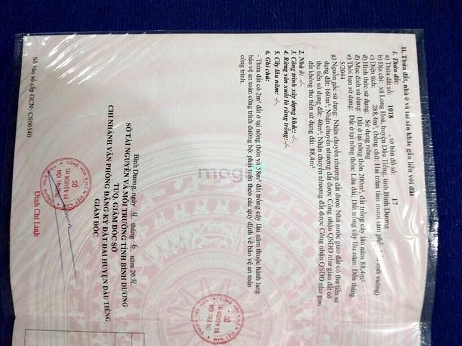 Hình ảnh Bán lô đất 2MT, Long Hòa, Dầu Tiếng, DT:6×48, TC200m2, SHR, 1.550 tỷ