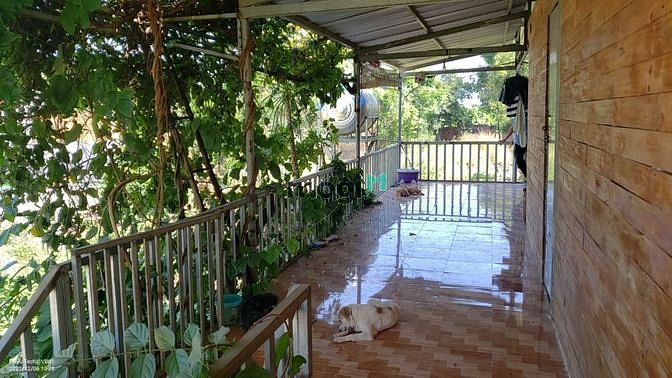 Hình ảnh Nhà vườn đẹp 2017m2 xã Thanh Bình 2,25ty