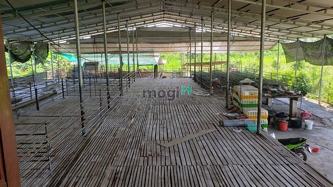Hình ảnh Nhà vườn đẹp 2017m2 xã Thanh Bình 2,25ty