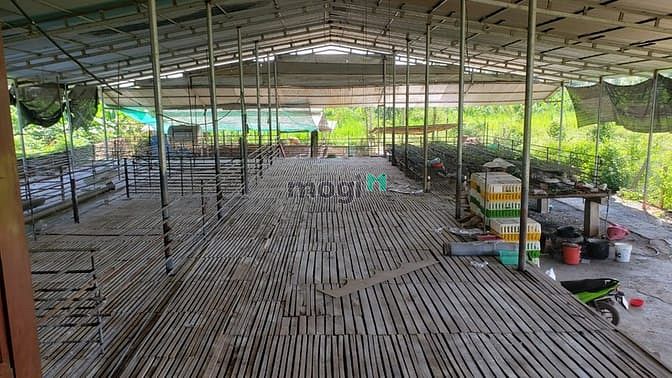 Hình ảnh Nhà vườn đẹp 2017m2 xã Thanh Bình 2,25ty