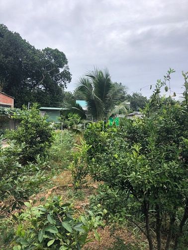 Hình ảnh Bán đất tặng nhà, Phú An, Bến Cát, DT:10×41, TC100m2, SHR, 3.2 tỷ