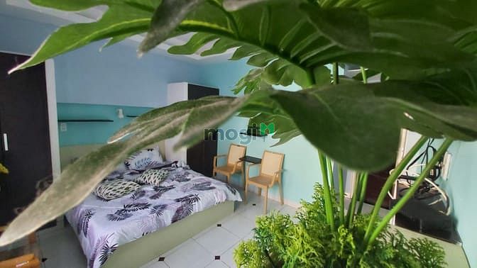 Hình ảnh 🌿✨Căn Hộ Gia Đình 2PN Ban Công, Gần chợ Phạm Văn Hai, Tân bình