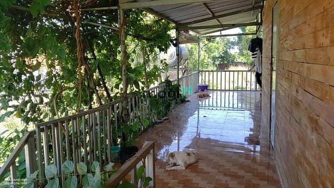 Hình ảnh Nhà vườn đẹp 2017m2 xã Thanh Bình 2,25ty