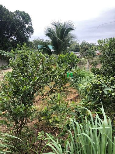 Hình ảnh Bán đất tặng nhà, Phú An, Bến Cát, DT:10×41, TC100m2, SHR, 3.2 tỷ