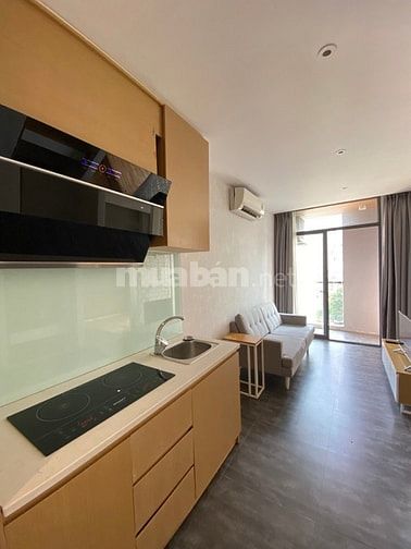 Hình ảnh Khai Trương CHDV Siêu Đẹp Ban Công Lớn Thoáng Q1.