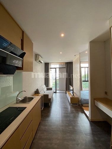 Hình ảnh Khai Trương CHDV Siêu Đẹp Ban Công Lớn Thoáng Q1.