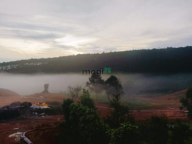 Hình ảnh Nghĩ dưỡng giữa rừng không khí siêu mát mẻ