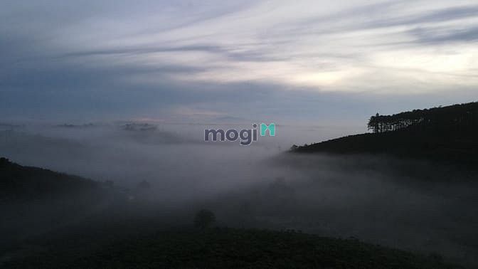 Hình ảnh Nghĩ dưỡng giữa rừng không khí siêu mát mẻ